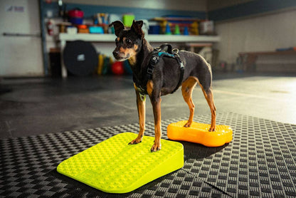 FitPAWS - FitPaws Balance Ramp