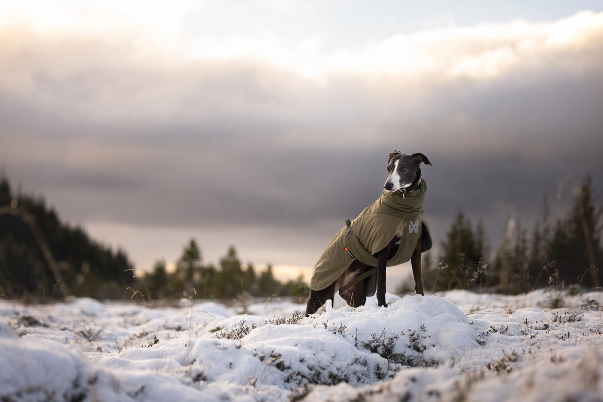 NSD Glacier Wool Jacket 3.0