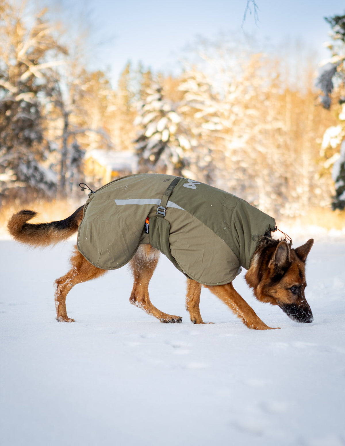 NSD Glacier Wool Jacket 3.0