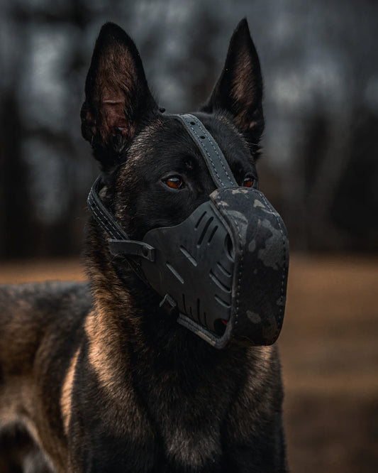 TGR Custom Leather Muzzle