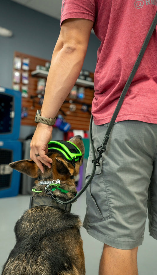 Leather Crossbody Leash - Performance Dog Supply