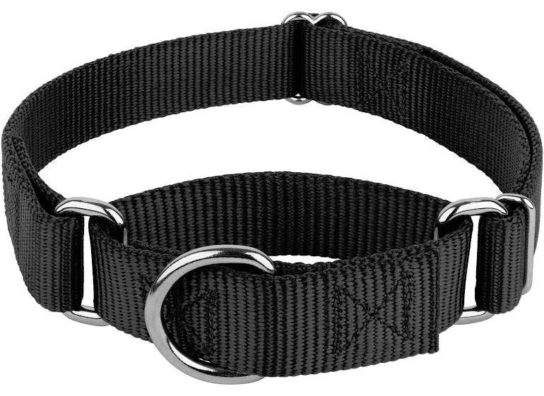 1” Martingale Collar - Performance Dog Supply