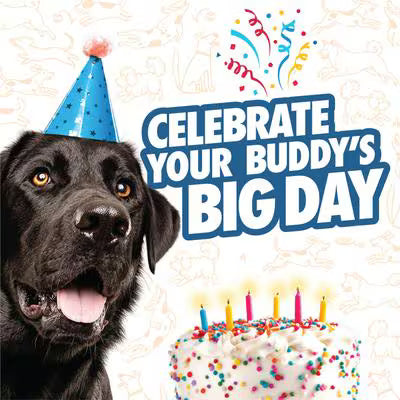 Chuck-It! Birthday Fetch Ball 2 Pack