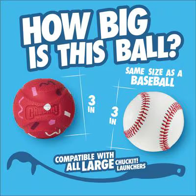Chuck-It! Birthday Fetch Ball 2 Pack