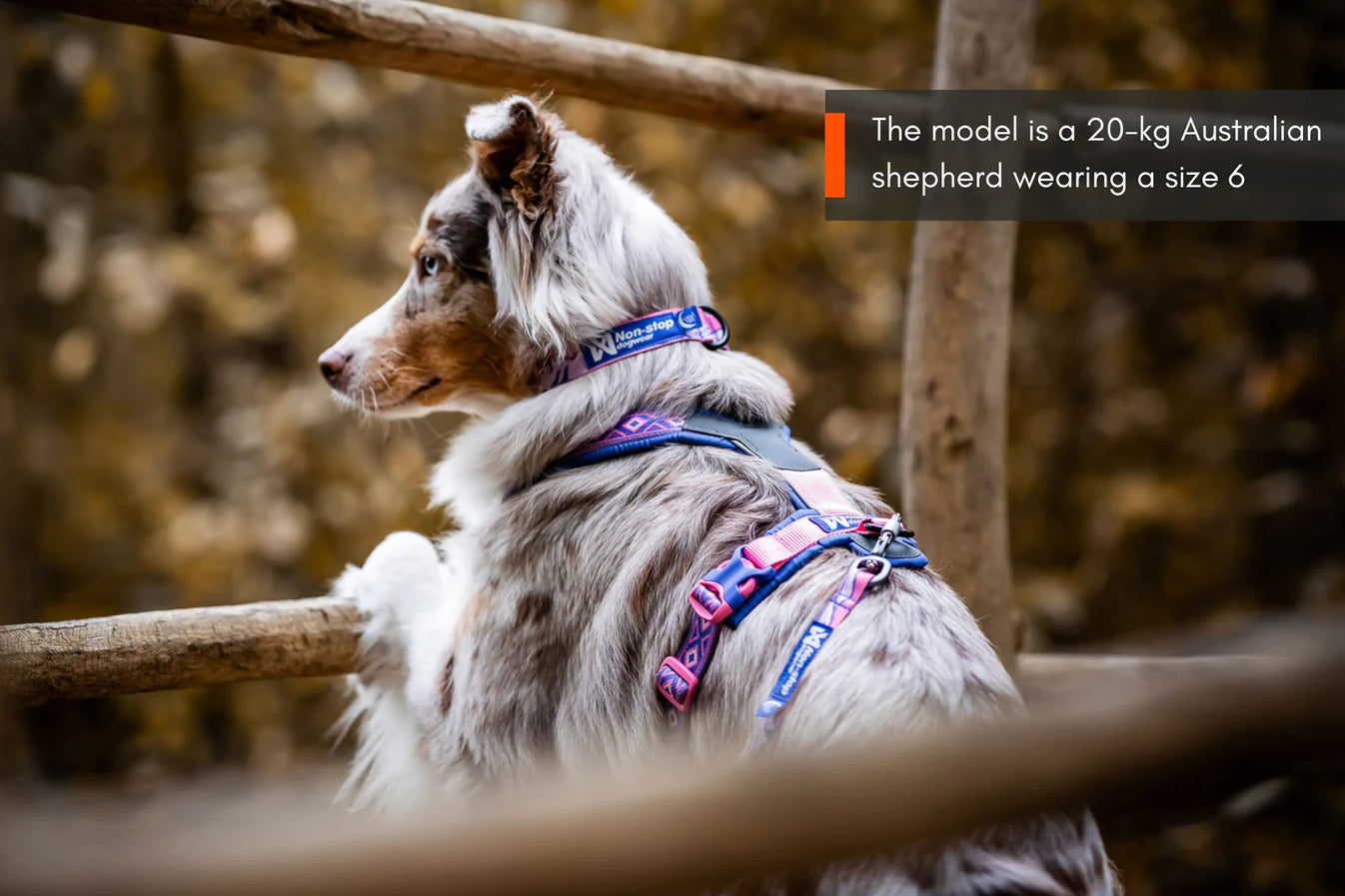 NSD Line Harness 5.0 Rachel Pohl Edition