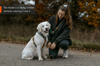 NSD Line Harness 5.0 Rachel Pohl Edition
