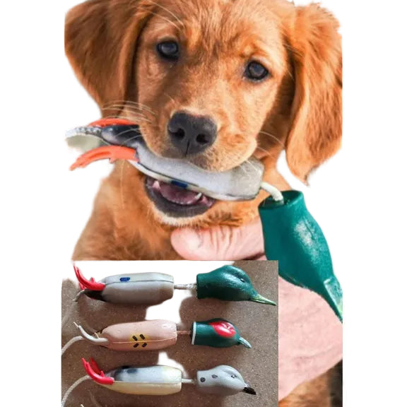 Dokken Deadfowl Puppy Trainers