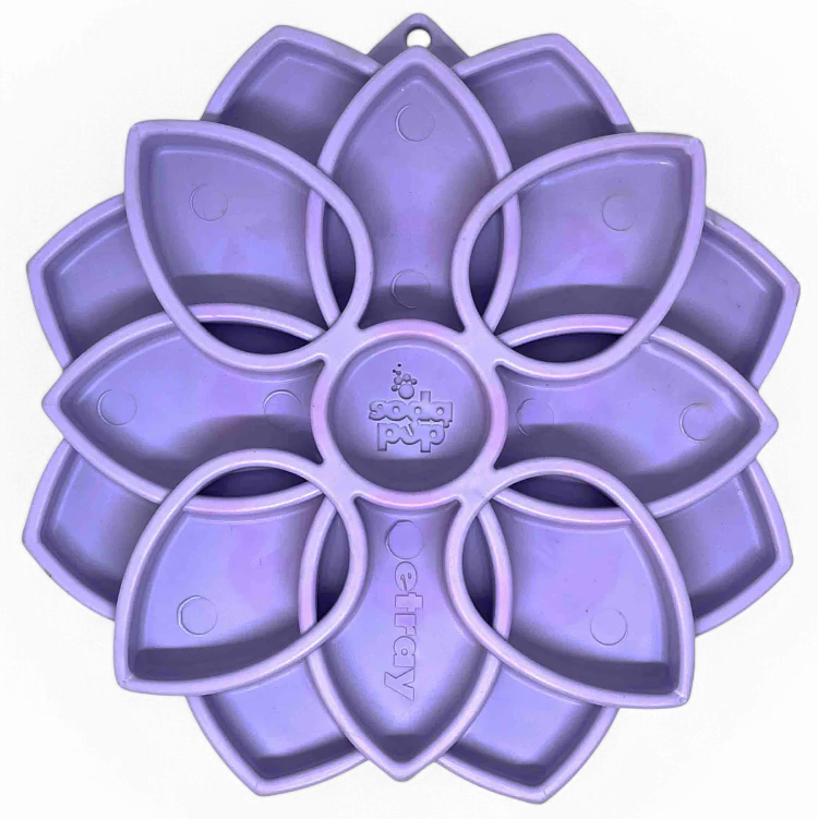 Mandala Softie Shallow Slow Feeder Dog Bowl with Suction Cups