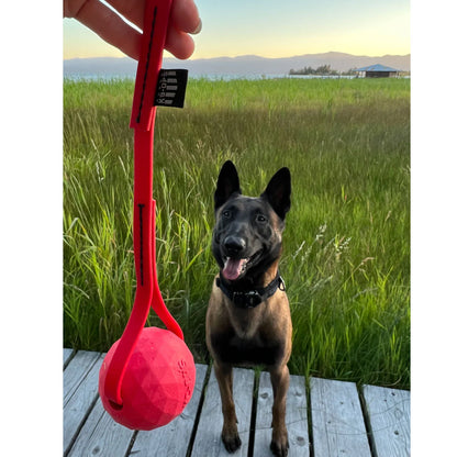 K9 Ops Bio-Balls
