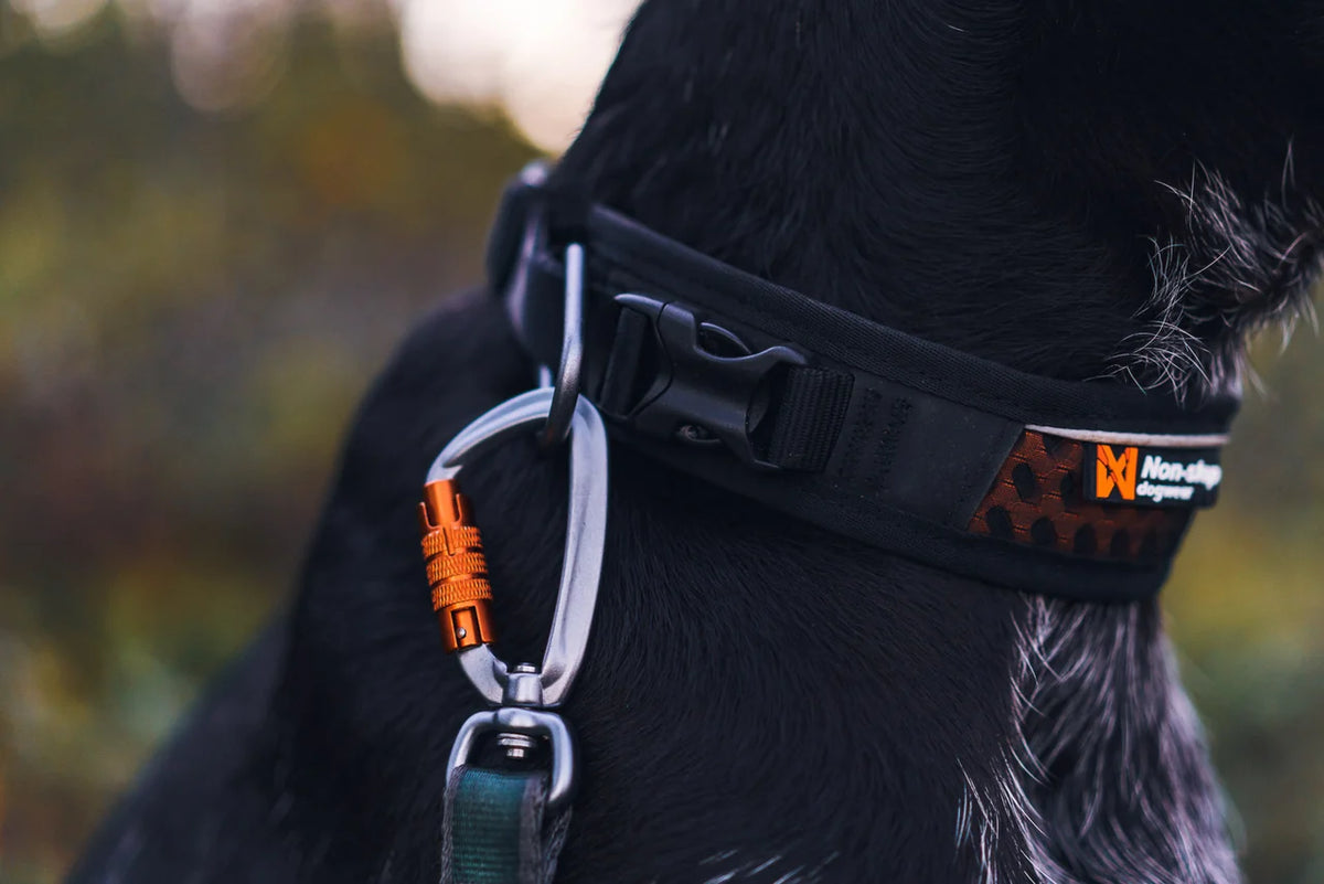NSD Rock adjustable collar