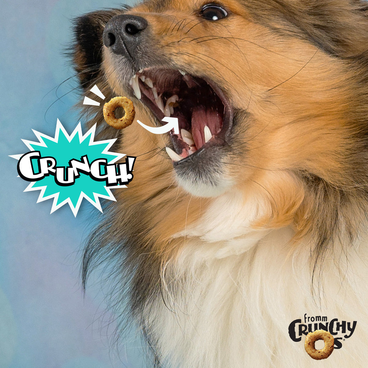 Fromm Crunchy Os Banana Kablammas® Treats