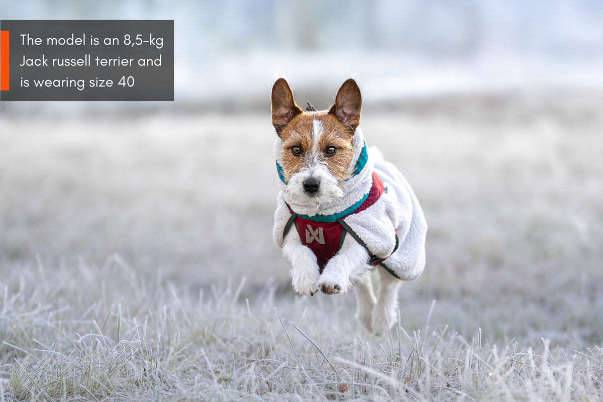NSD Trekking Fleece Dog Jacket
