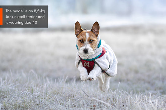NSD Trekking Fleece Dog Jacket