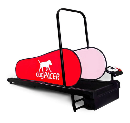 Dog Pacer 3.1 Treadmill