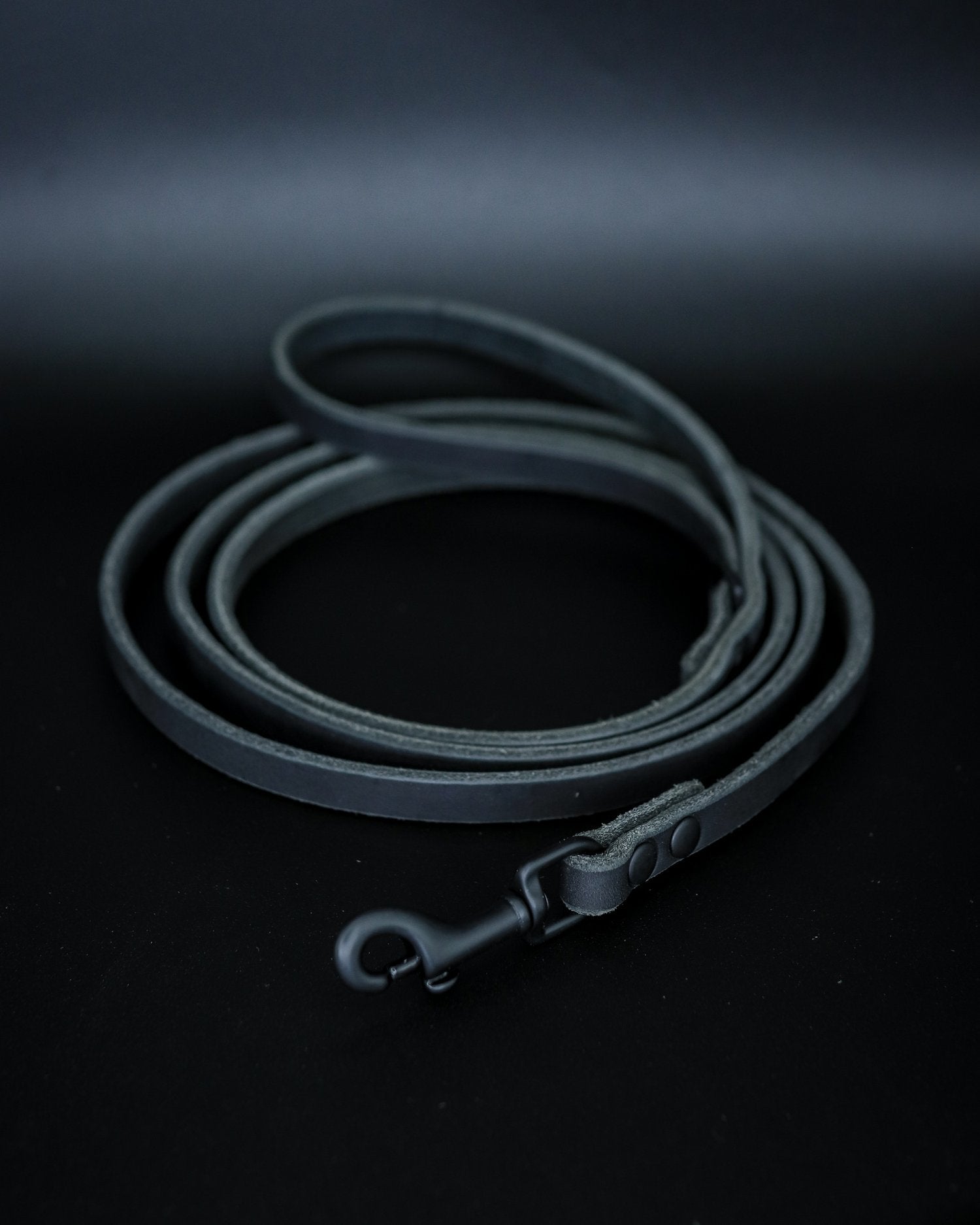 The Everyday Leather Leash - Performance Dog Supply