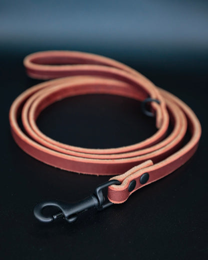 The Everyday Leather Leash - Performance Dog Supply