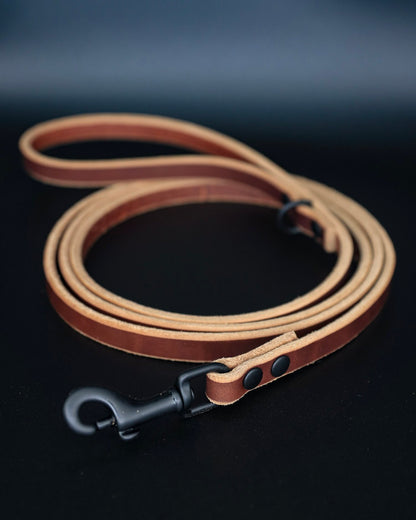 The Everyday Leather Leash - Performance Dog Supply