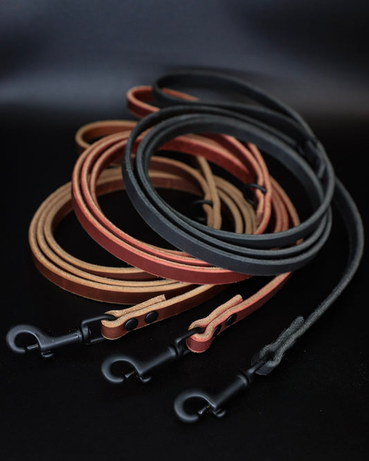 The Everyday Leather Leash